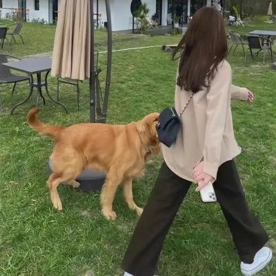 蓝衣士兵